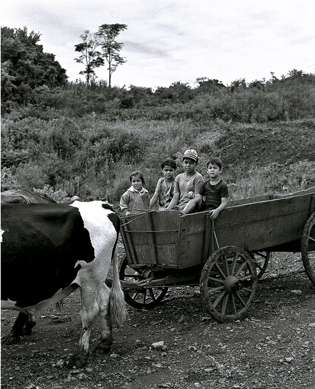 Niños trabajadores en un 